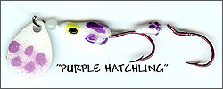 Purple Hatchling Spinner Bug