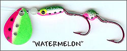 Watermelon Spinner Bug