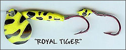 Royal Tiger Spinner Bug